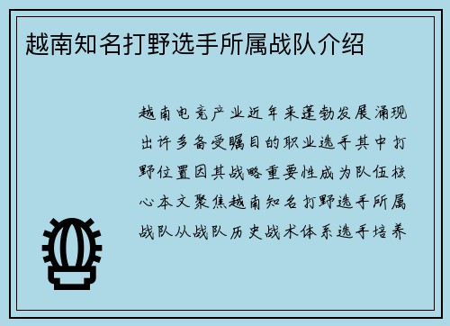 越南知名打野选手所属战队介绍
