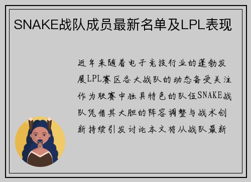 SNAKE战队成员最新名单及LPL表现