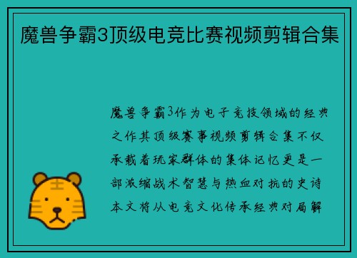 魔兽争霸3顶级电竞比赛视频剪辑合集